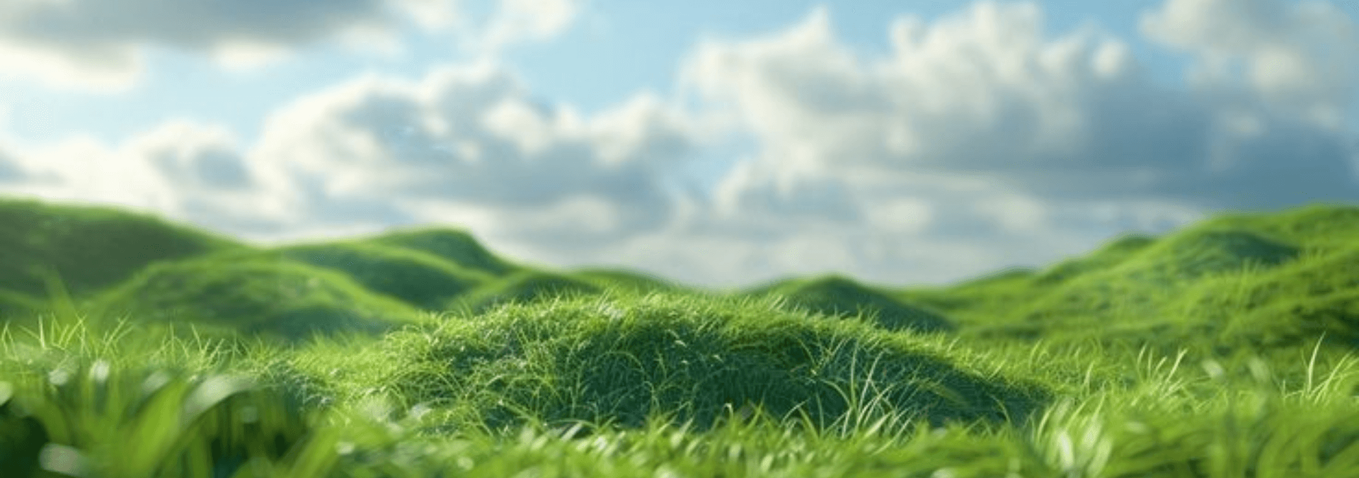 Green Hills