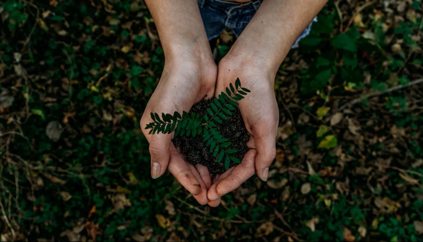 Community Nature Background