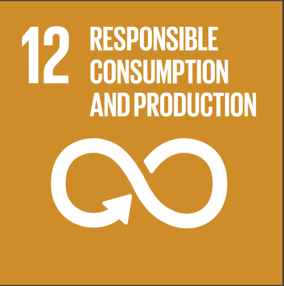 SDG 12 Responsible Consumption